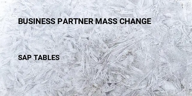 Business partner mass change Table in SAP