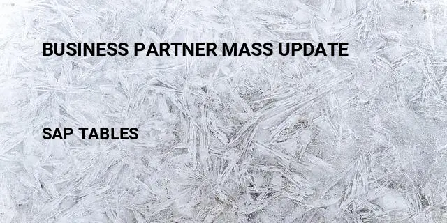 Business partner mass update Table in SAP