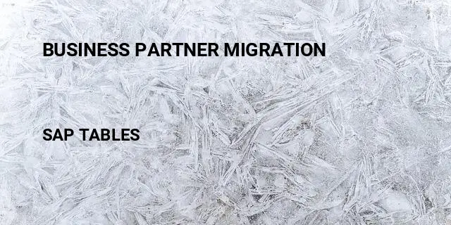 Business partner migration Table in SAP