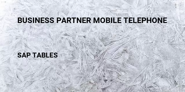 Business partner mobile telephone Table in SAP