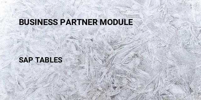 Business partner module Table in SAP