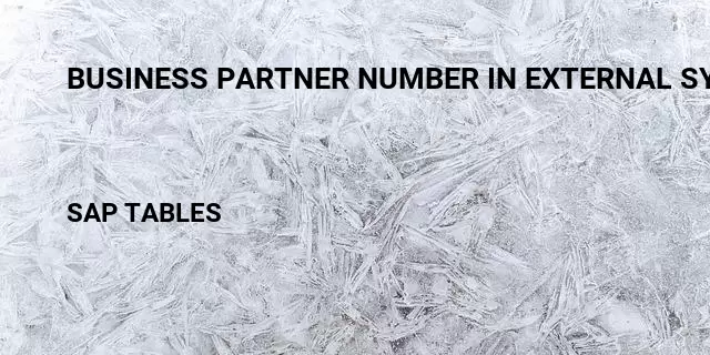 Business partner number in external system Table in SAP
