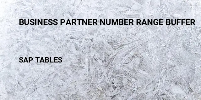 Business partner number range buffer Table in SAP