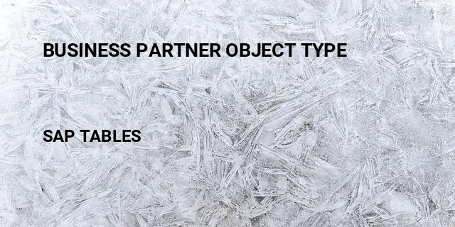 Business partner object type Table in SAP