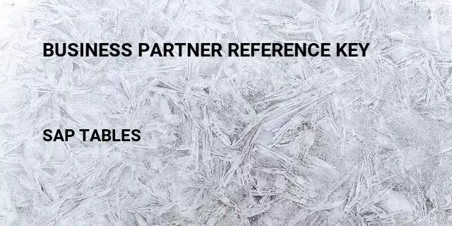 Business partner reference key Table in SAP