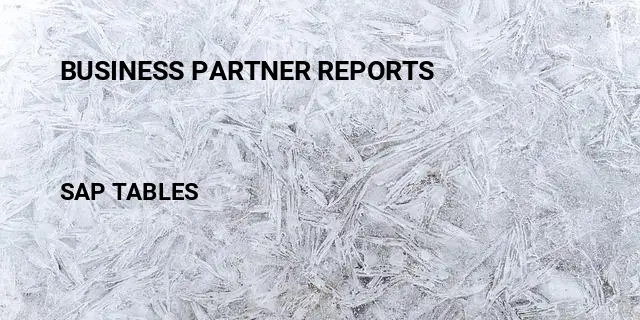 Business partner reports Table in SAP