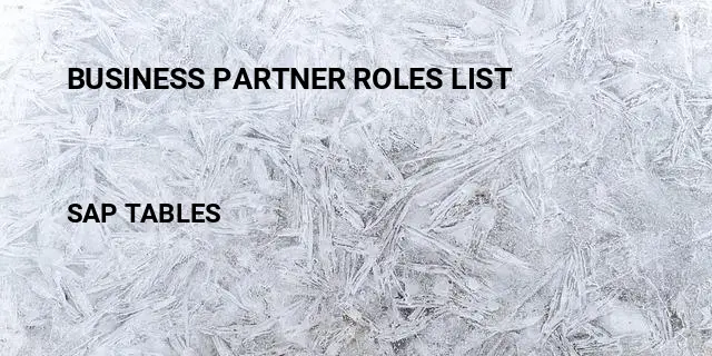 Business partner roles list Table in SAP