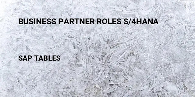 Business partner roles s/4hana Table in SAP