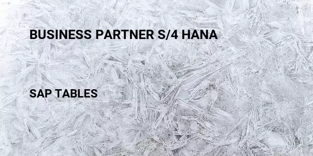 Business partner s/4 hana Table in SAP