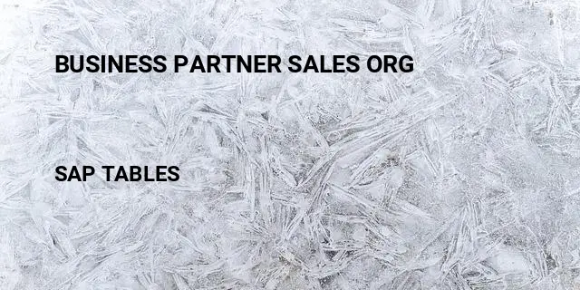 Business partner sales org Table in SAP