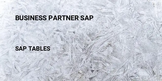 Business partner sap Table in SAP