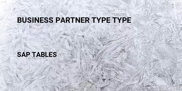 Business partner type type  Table in SAP