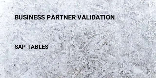 Business partner validation Table in SAP