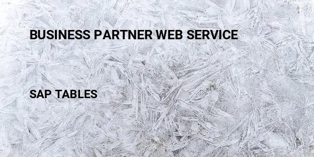 Business partner web service Table in SAP
