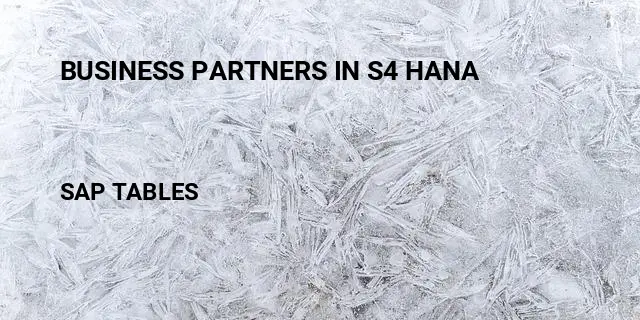 Business partners in s4 hana Table in SAP