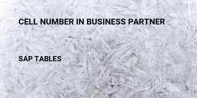 Cell number in business partner Table in SAP