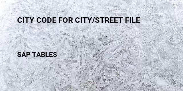 City code for city/street file Table in SAP