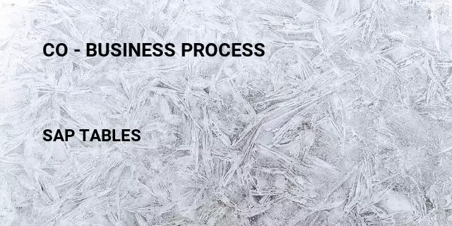 Co - business process Table in SAP