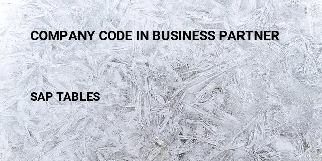 Company code in business partner Table in SAP