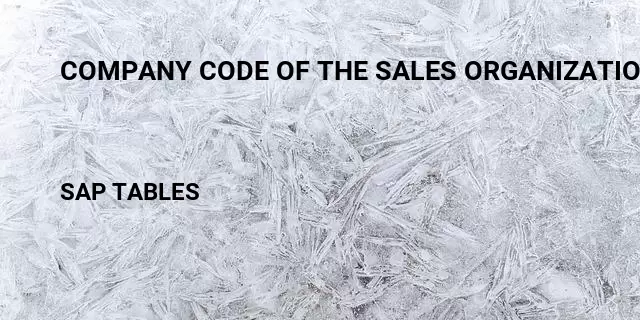 Company code of the sales organization Table in SAP
