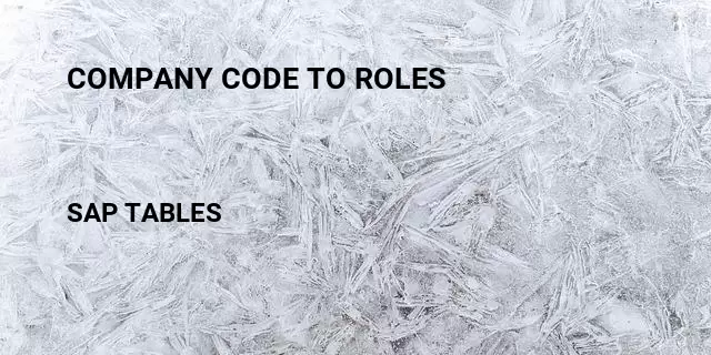 Company code to roles Table in SAP