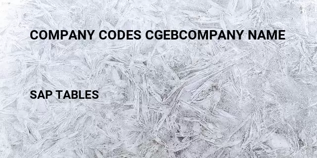 Company codes cgebcompany name Table in SAP