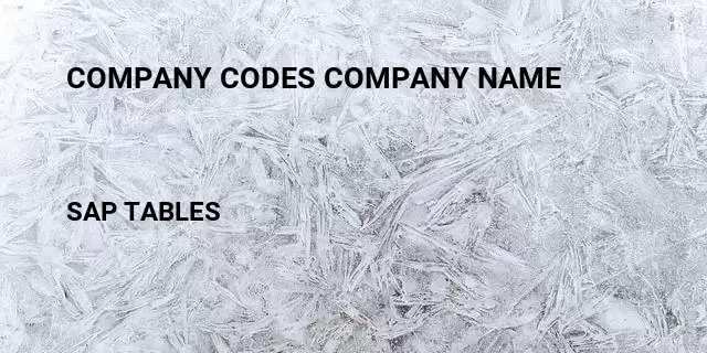 Company codes company name Table in SAP
