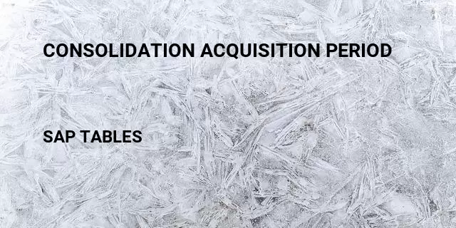 Consolidation acquisition period Table in SAP