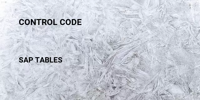 Control code Table in SAP