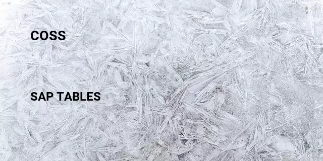 Coss Table in SAP