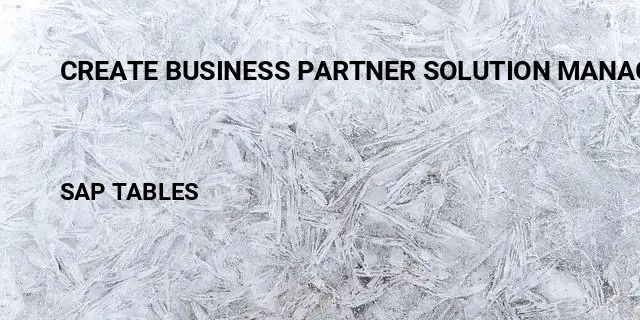 Create business partner solution manager 7.2 Table in SAP