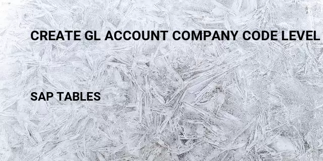 Create gl account company code level Table in SAP