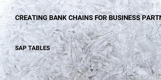 Creating bank chains for business partner Table in SAP