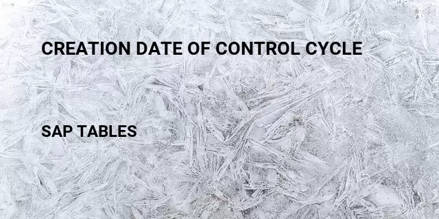 Creation date of control cycle Table in SAP