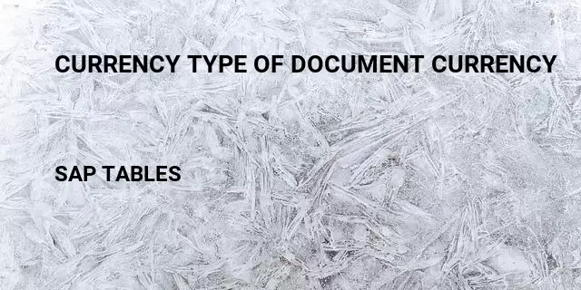 Currency type of document currency Table in SAP