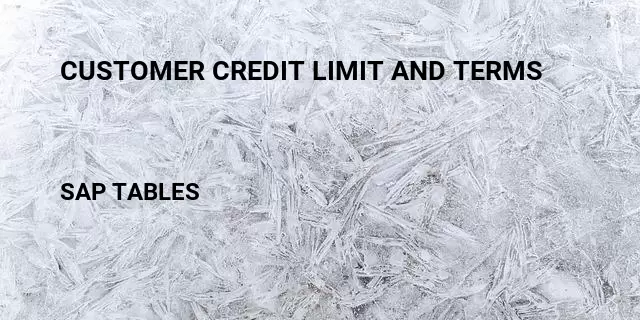 Customer credit limit and terms Table in SAP