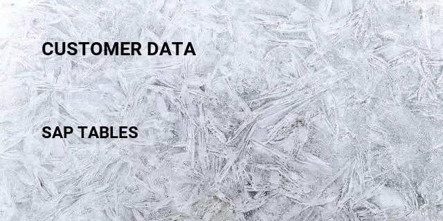 Customer data Table in SAP