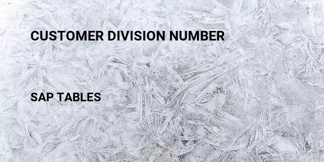 Customer division number Table in SAP