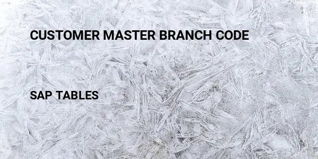 Customer master branch code Table in SAP