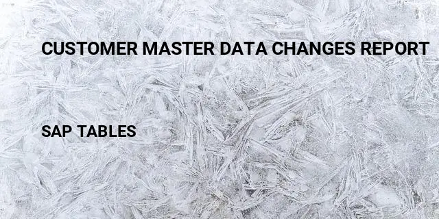 Customer master data changes report Table in SAP