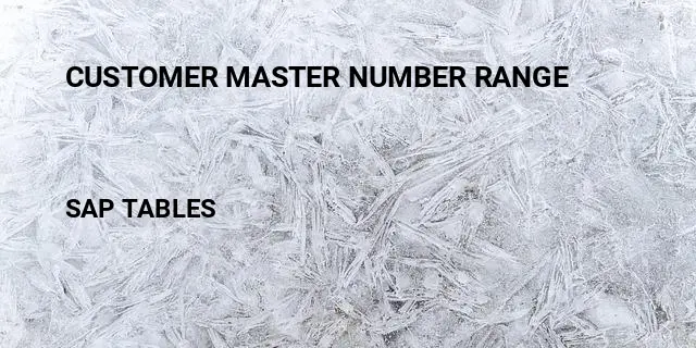 Customer master number range Table in SAP