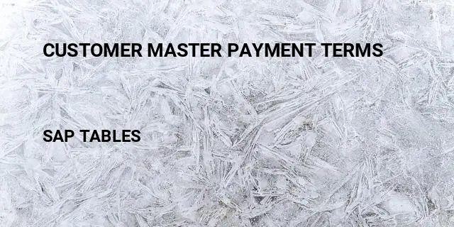 Customer master payment terms Table in SAP