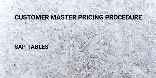 Customer master pricing procedure Table in SAP
