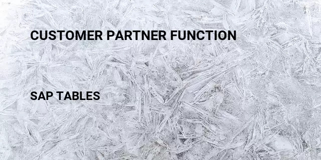 Customer partner function  Table in SAP