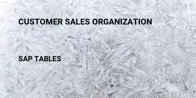 Customer sales organization Table in SAP