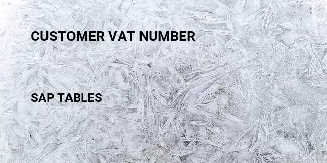Customer vat number Table in SAP