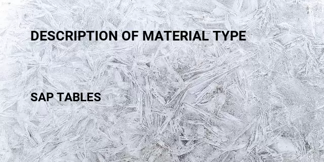 description-of-material-type-table-in-sap