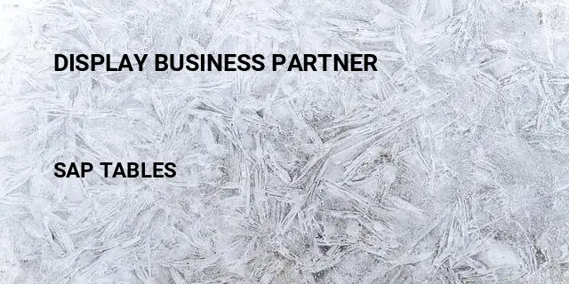 Display business partner Table in SAP