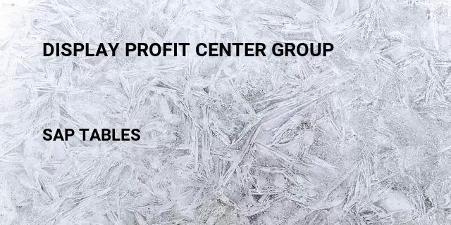 Display profit center group Table in SAP