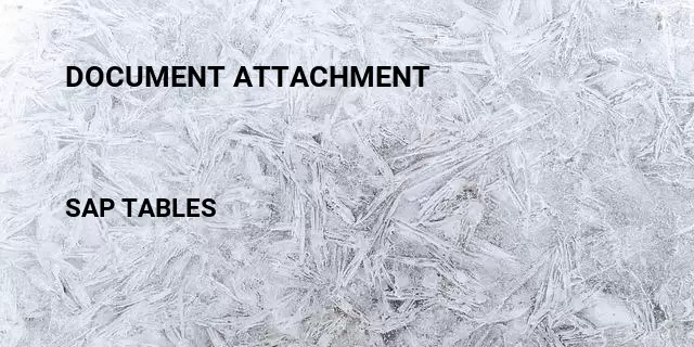 Document attachment Table in SAP